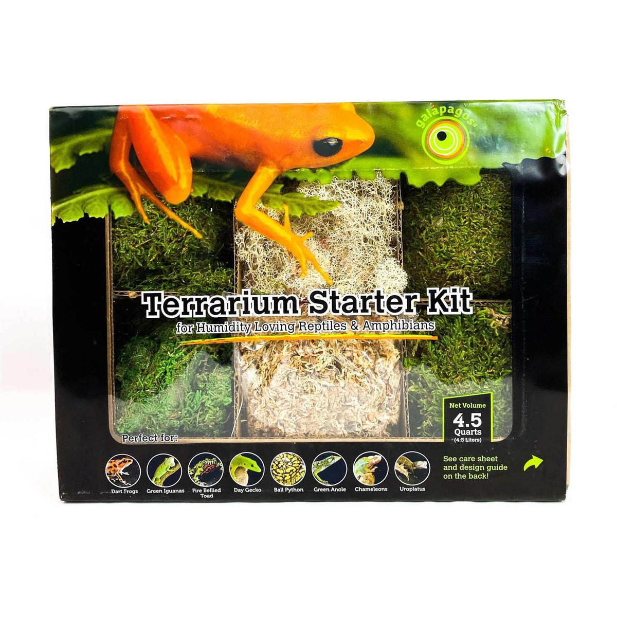 Terrarium Starter Kit T469622
