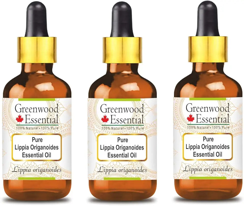 Lippia Origanoides Essential Oil with Glass Dropper Steam Distilled 100ml X 3 W71442