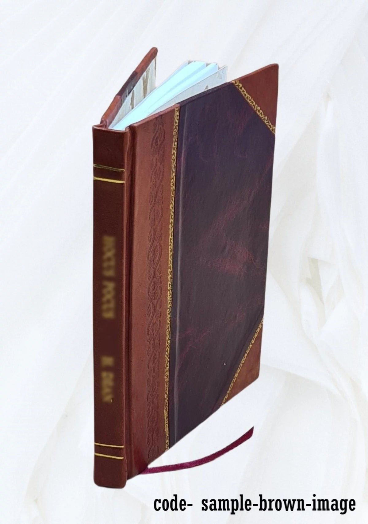 Leather Bound D74519