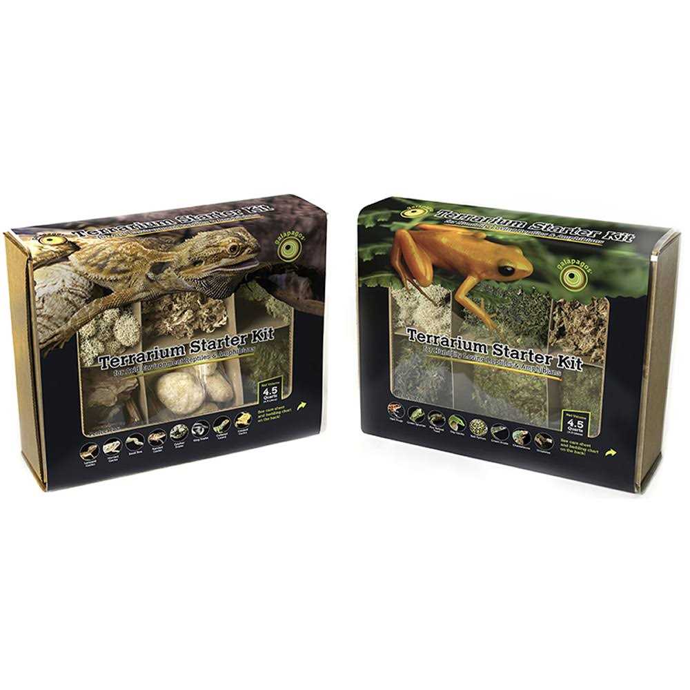 Terrarium Starter Kit T469622
