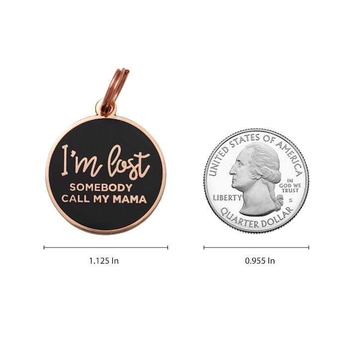 Rose Gold & Navy Pet ID Tag F20968