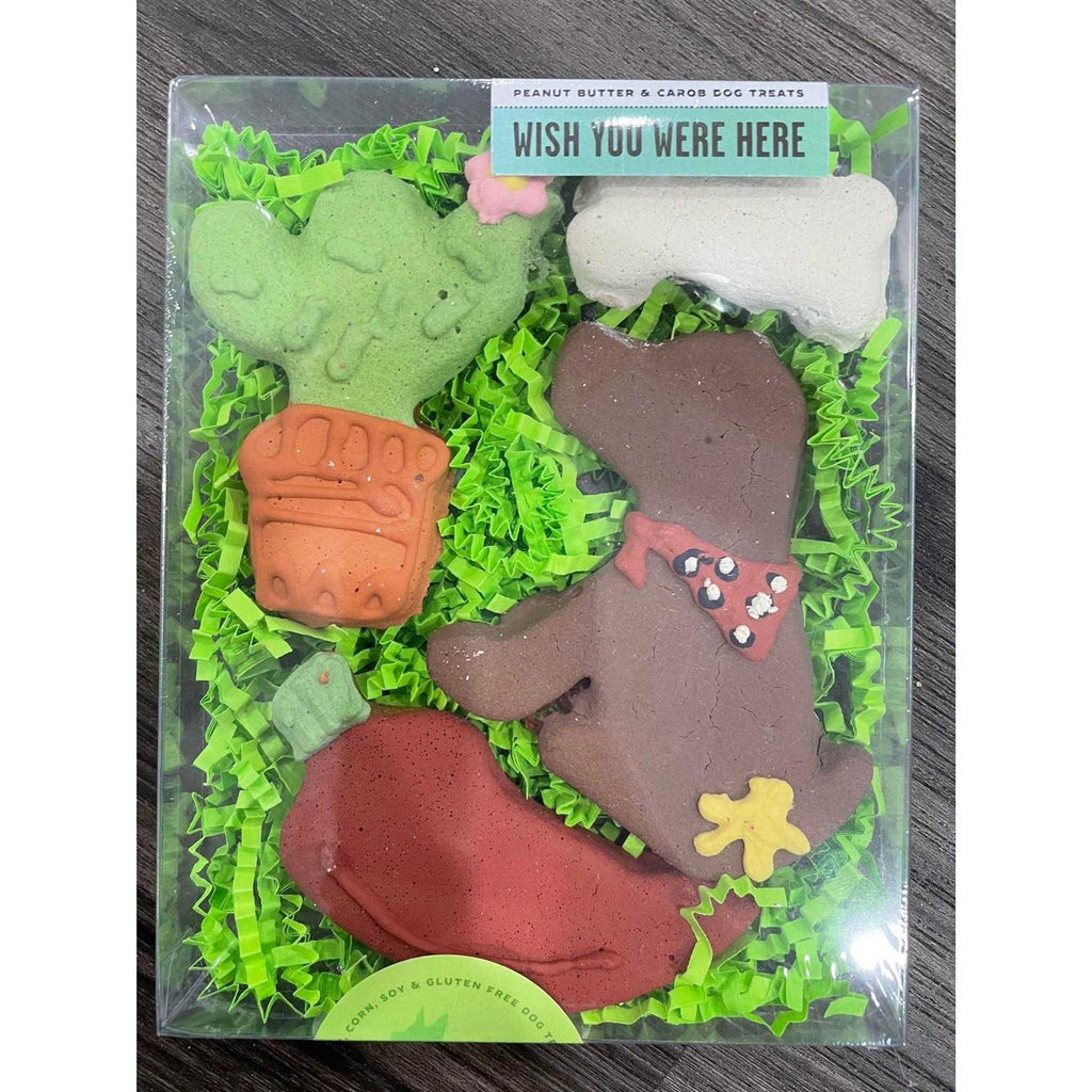 Birthday Boy Pet Supplies C70605