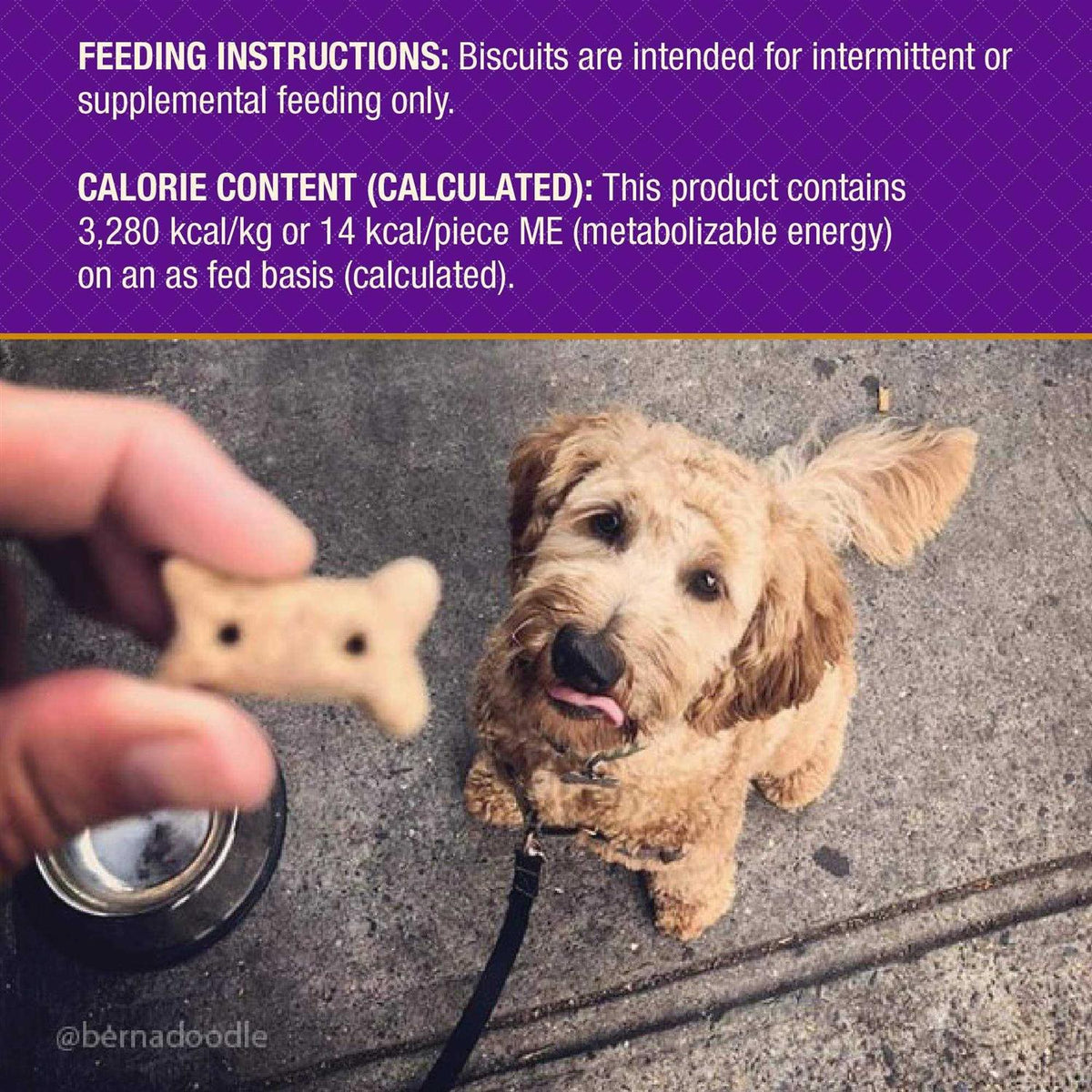 Dog Treats V7403