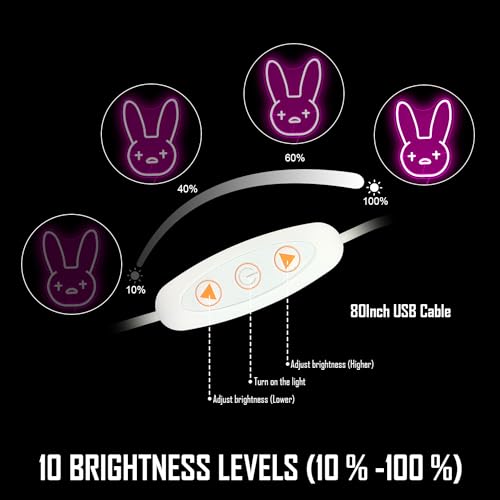Dimmable LED Neon Sign Z209