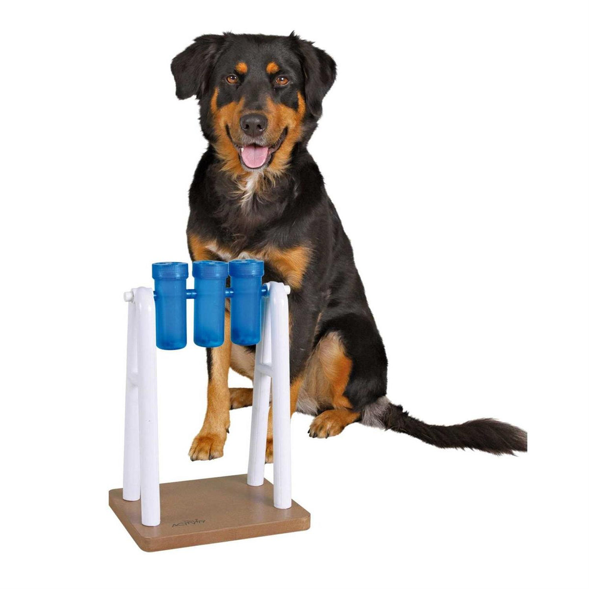 Dog Toy I109