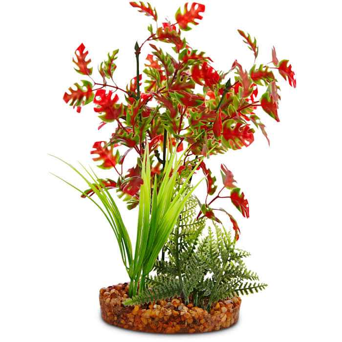 Red & Green Plant I462405