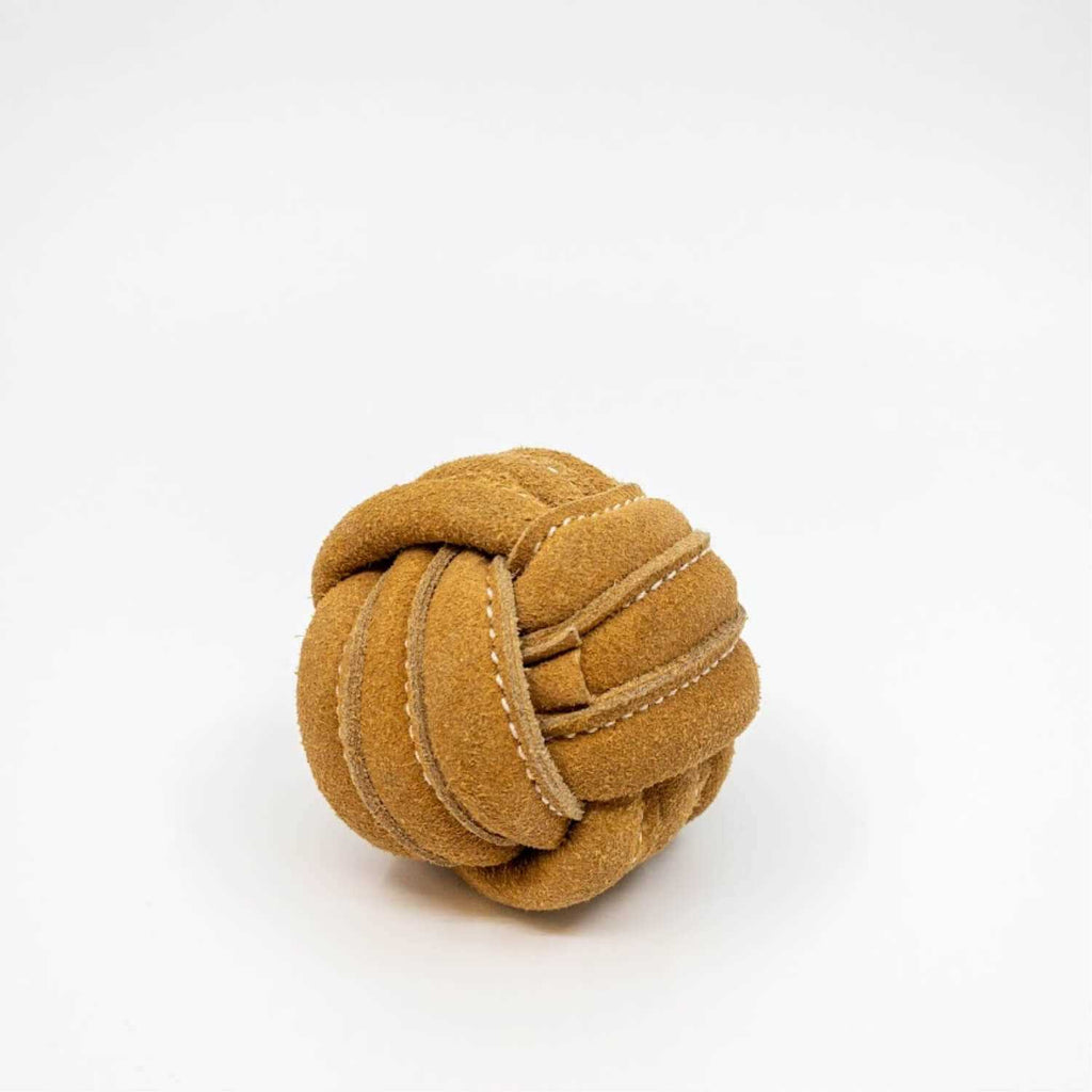 Dog Toy M63254