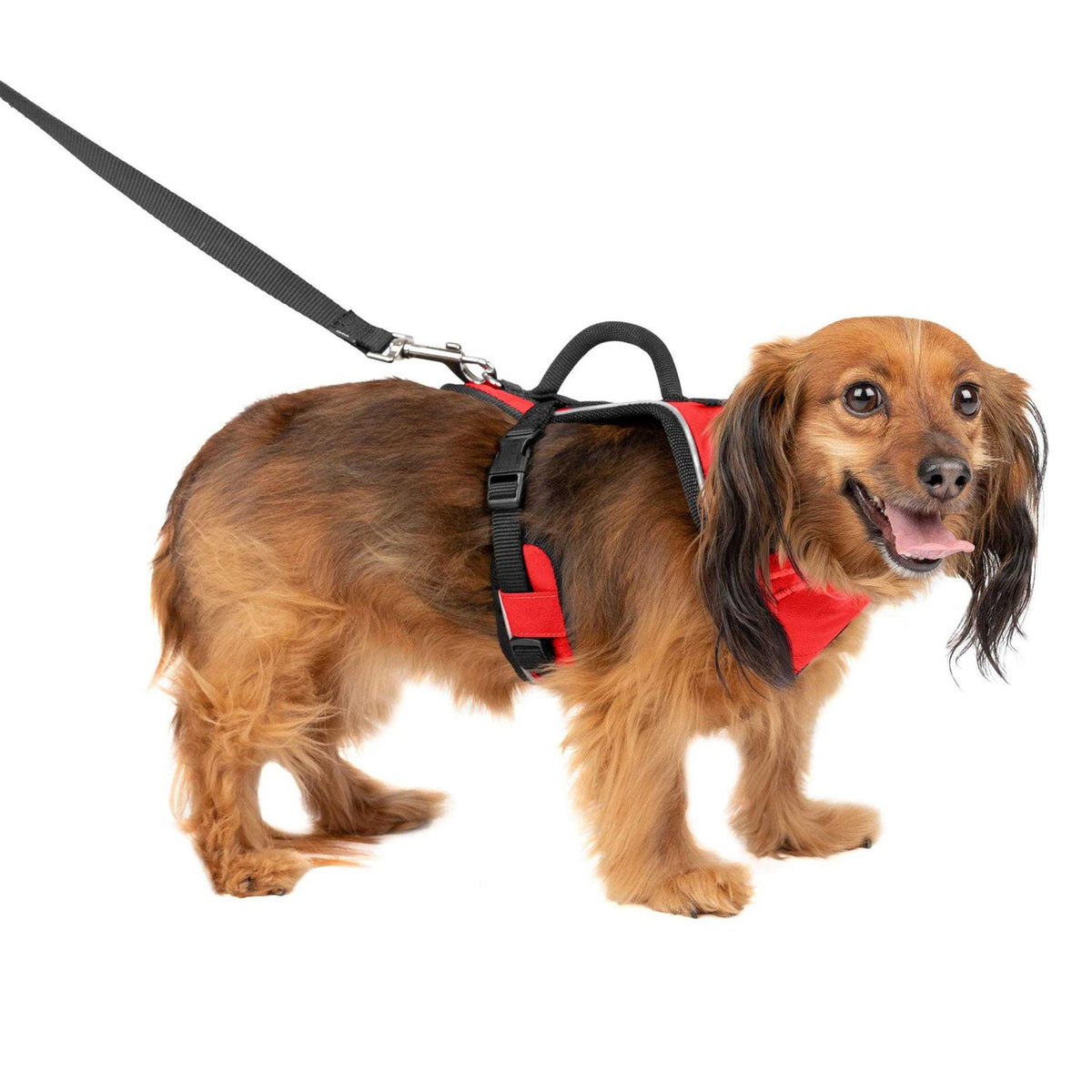 Dog Harness I939135