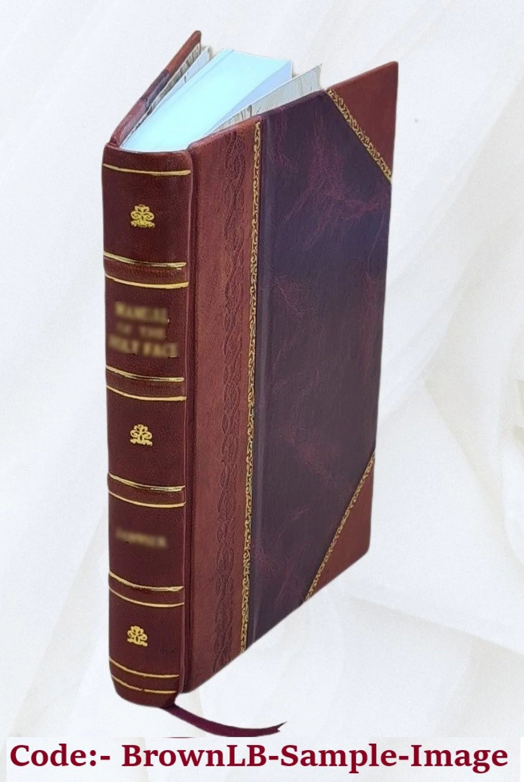 Proceedings of the Grand Lodge of Free and Accepted Masons of Massachusetts 1890 Leather Bound S4378
