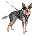 Dog Harness I939135