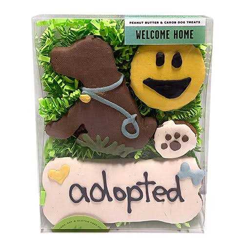 Birthday Boy Pet Supplies C70605