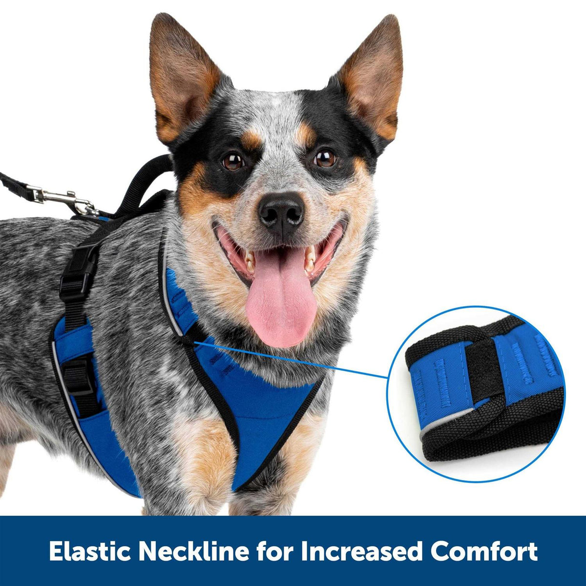 Dog Harness I939135