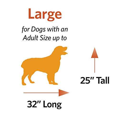 Door Dog Crate Z101202