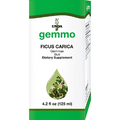 Ficus Carica 4.2 oz D68046