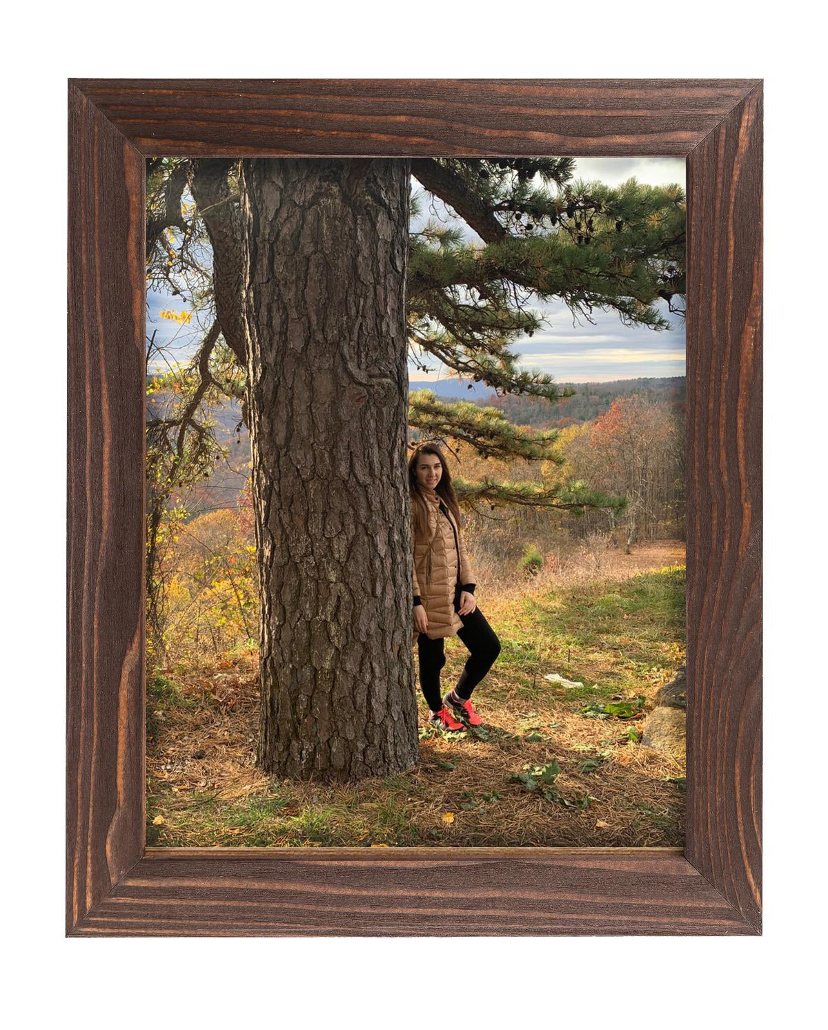Rustic Wooden Picture Frames 8x10 Brown Wenge Set of 2 S20473