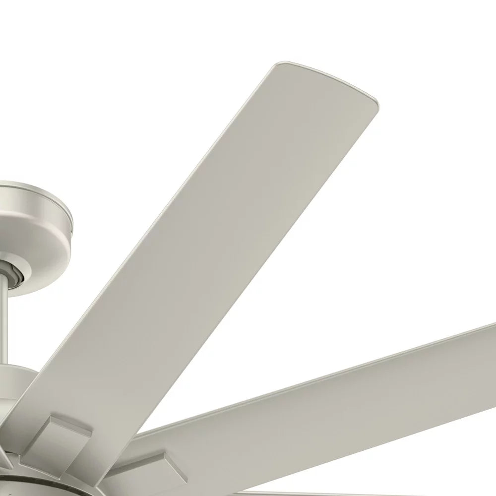 60" 10 Blade Indoor / Outdoor Led Ceiling Fan R416509