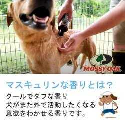 Odor Dog Shampoo E376005