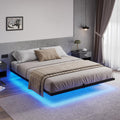 Queen Bed Frame with LED Lights M480125