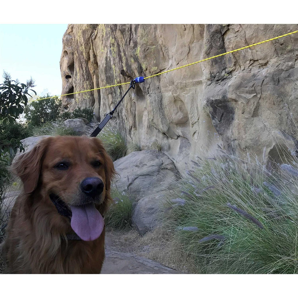 Aerial Dog Run Zip Line Trolley System C3850
