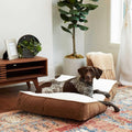 Rectangle Dog Bed with Removable Cover Z7484