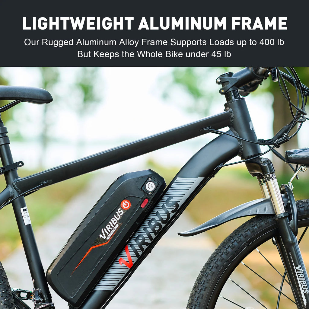 Electric Mountain Bicycle 26" 350W 48V Lithium Battery Black B73354