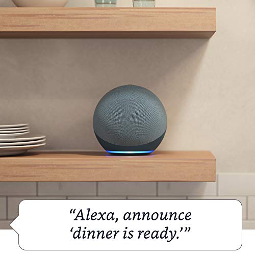 Charcoal Alexa Speaker K24730